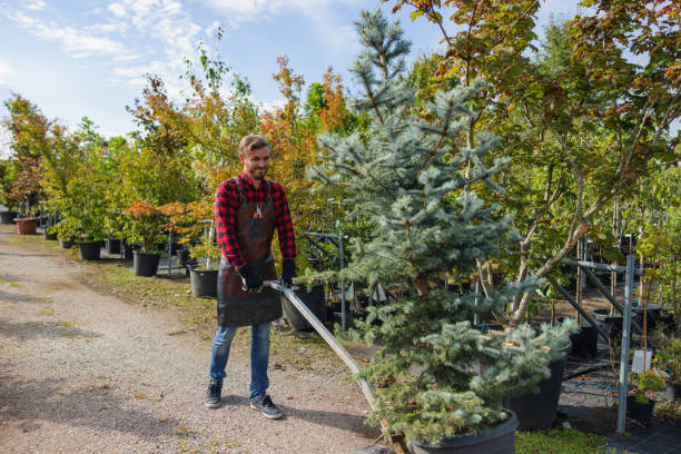 Best Tree Mulching Services  in Felton, DE